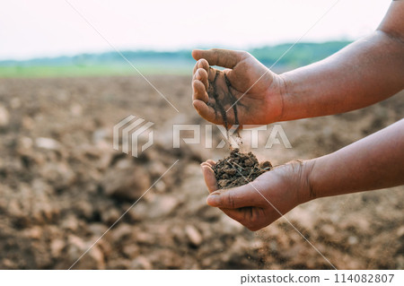 person is holding the soil with two hands to examine the brown soil person is holding the soil with two hands to examine the brown soil 114082807
