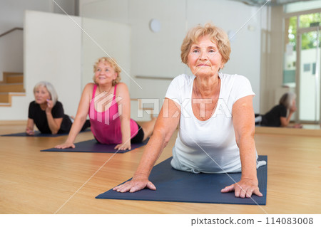 Group of elderly women performs an exercise in the dog pose face up Group of elderly women performs an exercise in the dog pose face up 114083008