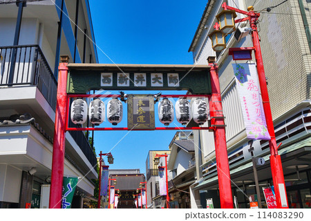 Nishiarai Daishi Omotesando (Adachi Ward, Tokyo) Nishiarai Daishi Omotesando (Adachi Ward, Tokyo) 114083290