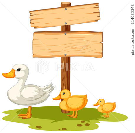 Duck Family Beside Wooden Signpost 114083348