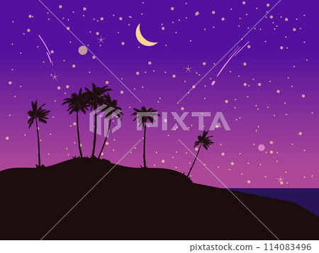 Night Tropical seashore landscape, palms, moonlight. Summer exotic scene view, silhouette, falling star 114083496