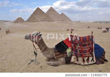 埃及金字塔 114083775