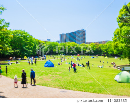 Suburban residential area, park during Golden Week *Out of focus 114083885