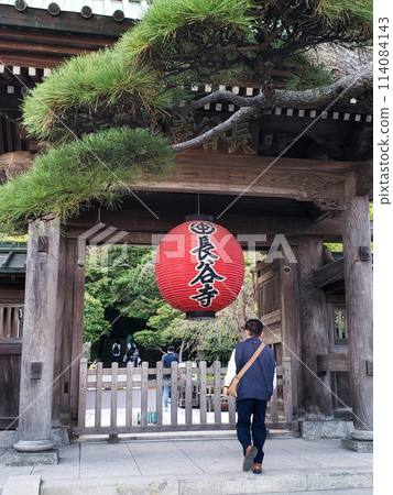 Summer in Kanagawa, Kamakura and Fujisawa 114084143