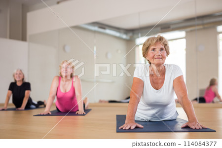 Group of aged ladies doing cobra pose Group of aged ladies doing cobra pose 114084377