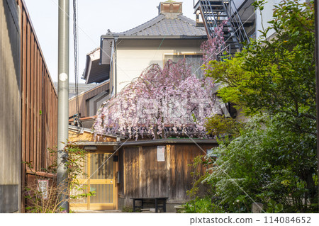 Horinzan Daizenji Temple Ujo Shidare 114084652