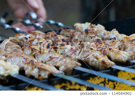 Sizzling BBQ Feast at Dusk Sizzling BBQ Feast at Dusk 114084902
