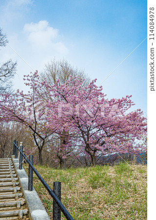 Hiroshima, Kure, Tobishima Kaido, Deai no Yakata Hiroshima, Kure, Tobishima Kaido, Deai no Yakata 114084978