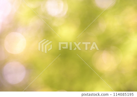Green background material 114085195