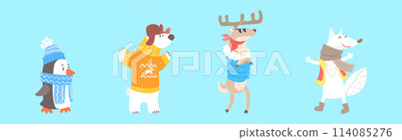 Funny Animal Character Wearing Winter Clothes Vector Set 114085276