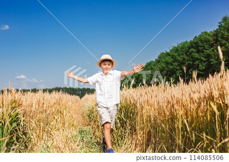Happy boy with arms outstretched in wheat field on sunny day. Childhood, freedom, summer concept Happy boy with arms outstretched in wheat field on sunny day. Childhood, freedom, summer concept 114085506