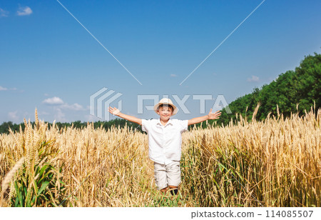 Boy in wheat field on sunny day, arms wide open above wheat field. Fresh air, concept of freedom Boy in wheat field on sunny day, arms wide open above wheat field. Fresh air, concept of freedom 114085507