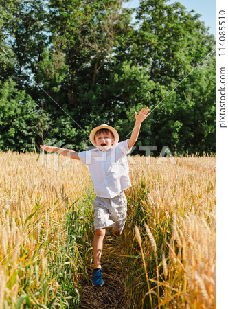 Happy boy with arms outstretched in wheat field on sunny day. Childhood, freedom, summer concept Happy boy with arms outstretched in wheat field on sunny day. Childhood, freedom, summer concept 114085510