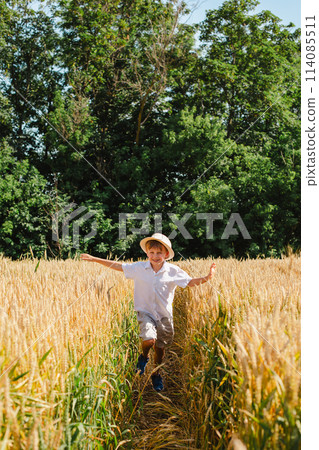 Happy boy with arms outstretched in wheat field on sunny day. Childhood, freedom, summer concept Happy boy with arms outstretched in wheat field on sunny day. Childhood, freedom, summer concept 114085511
