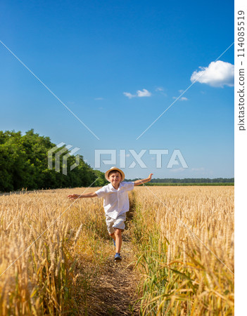 Happy boy with arms outstretched in wheat field on sunny day. Childhood, freedom, summer concept Happy boy with arms outstretched in wheat field on sunny day. Childhood, freedom, summer concept 114085519