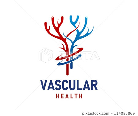 Vein vascular artery health icon. Isolated vector emblem of blood circulation and cardiovascular wellness. Artery symbol for phlebology clinic, features capillary vessels in red and blue colors Vein vascular artery health icon. Isolated vector emblem of blood circulation and cardiovascular wellness. Artery symbol for phlebology clinic, features capillary vessels in red and blue colors 114085869