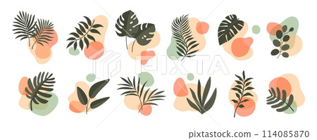 Abstract boho leaf and plant organic shapes, vector floral minimalist art set. Summer nature prints with geometric decor, tropical areca palm tree, monstera and philodendron leaves silhouettes Abstract boho leaf and plant organic shapes, vector floral minimalist art set. Summer nature prints with geometric decor, tropical areca palm tree, monstera and philodendron leaves silhouettes 114085870