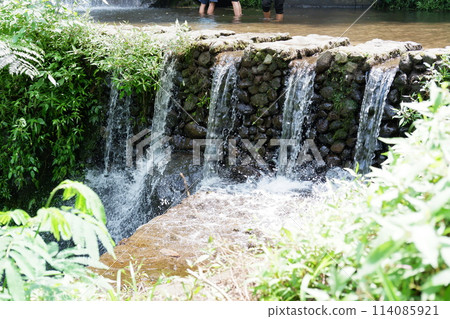 waterfall in the garden 114085921