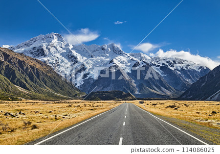 Mount Sefton in New Zealand 114086025
