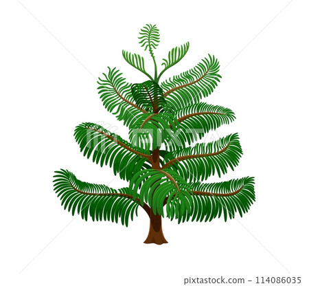 Cartoon jungle rainforest tree. Isolated vector plant with vibrant foliage, 2d element for environmental designs and game landscape graphics. Exotic evergreen plant with lush, spreading branches 114086035