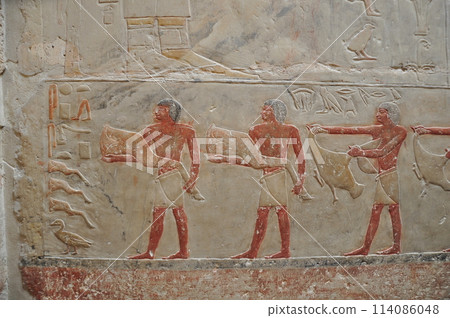 Pyramid of King Djuser 114086048