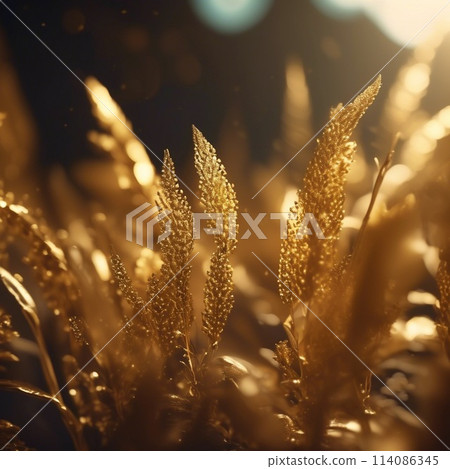 Golden plant Golden plant 114086345