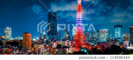 Aerial view of Minato, Tokyo, Japan 114086484