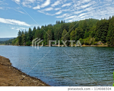 Under the clear sky, there are trees beside a vast lake Under the clear sky, there are trees beside a vast lake 114086504