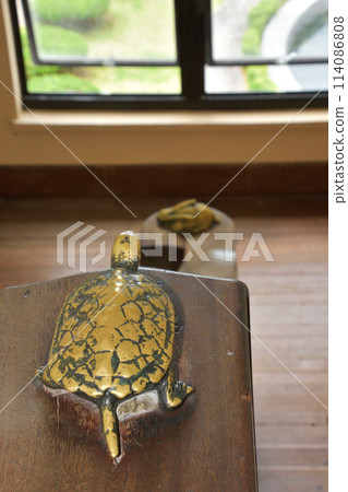 Toyosato Elementary School Old School Buildings 114086808