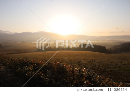 A morning on a plateau with morning fog 114086834