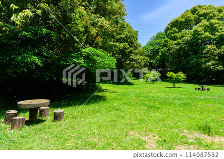 楓樹廣場 種植楓葉和日本楓樹的廣場。筱栗九大森林（水邊森林）（福岡縣篠栗町） 114087532