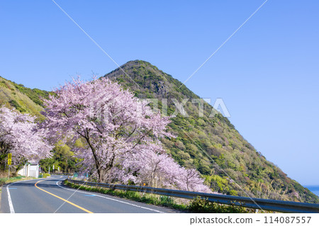 Spring in the Tango Peninsula: Cape Inugasaki 114087557