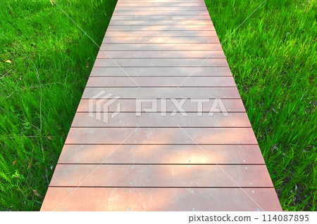 Boardwalk in the green Boardwalk in the green 114087895