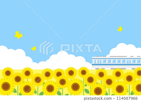 火車穿過夏季向日葵田和天空的背景圖 火車穿過夏季向日葵田和天空的背景圖 114087966
