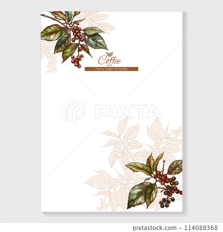 Green tea branch and Coffee tree branch with leaves and berries Green tea branch and Coffee tree branch with leaves and berries 114088368