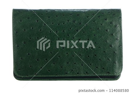 Green Leather Purse 114088580