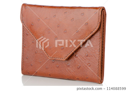 Brown Leather Purse 114088599