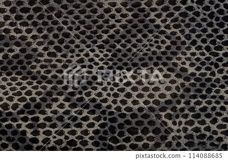 Snake skin background Snake skin background 114088685