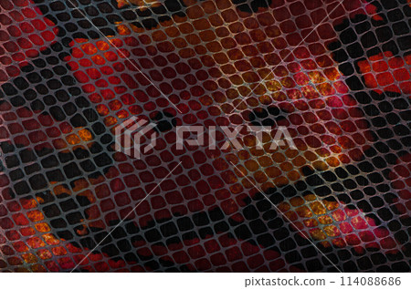 Snake Skin Leather Texture 114088686