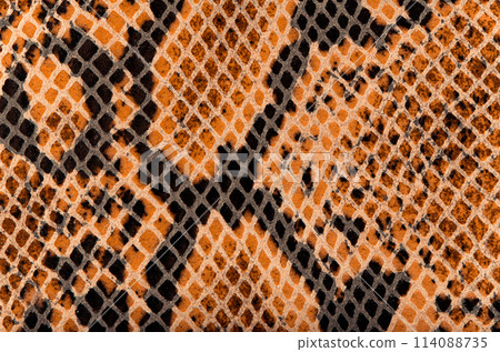 Snake Skin Leather Texture 114088735