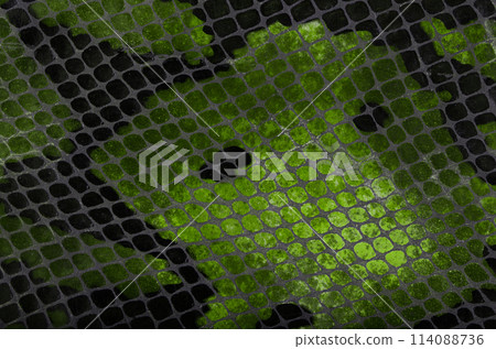 Snake skin background 114088736