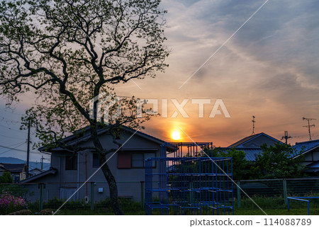 初夏奈良市住宅區的夕陽,嫩葉和攀登架的剪影①。 初夏奈良市住宅區的夕陽,嫩葉和攀登架的剪影①。 114088789