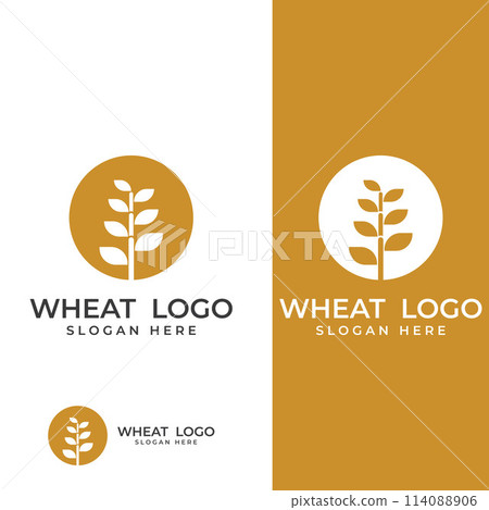 Wheat or cereal logo, wheat field and wheat farm logo.With easy and simple editing illustrations. 114088906