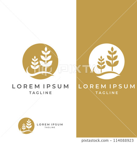 Wheat or cereal logo, wheat field and wheat farm logo.With easy and simple editing illustrations. 114088923