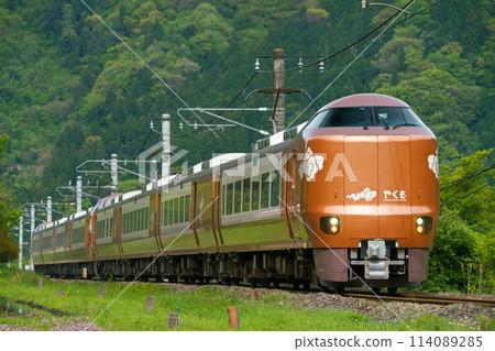 Newcomer Appears Newcomer Appears 114089285