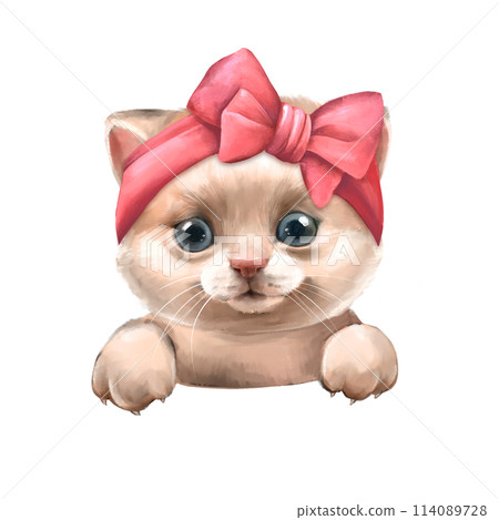 Kitten Cute illustration of white cat with pink bow. 114089728