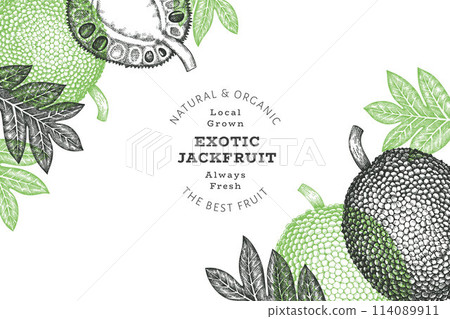 Hand drawn sketch style jackfruit banner. Organic fresh fruit vector illustration. Retro breadfruit design template Hand drawn sketch style jackfruit banner. Organic fresh fruit vector illustration. Retro breadfruit design template 114089911