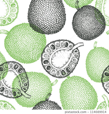 Hand drawn sketch style jackfruit seamless pattern. Organic fresh fruit vector illustration. Retro breadfruit background 114089914
