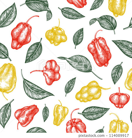 Hand drawn sketch style scotch bonnet pepper seamless pattern. Organic fresh vegetable vector illustration. Retro cayenne pepper background 114089917