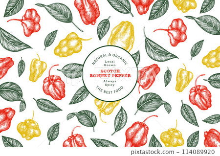 Hand drawn sketch style scotch bonnet pepper banner. Organic fresh vegetable vector illustration. Retro cayenne pepper design template 114089920